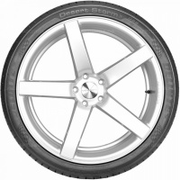 315/35 R20 110W Delinte DS8