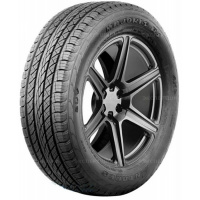 295/45 R20 114W Antares Majoris R1 XL