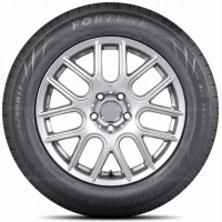 175/65 R15 84H Fortune Perfectus FSR602