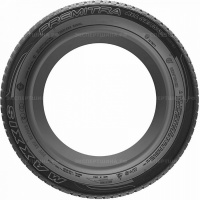215/60 R17 100V Maxxis Premitra All-Season AP3 SUV XL