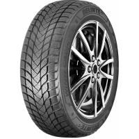 245/45 R20 103H Delinte Winter WD6