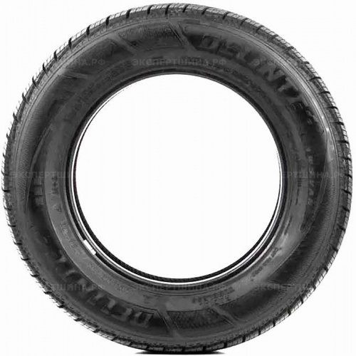 Шина Delinte AW5 Van 215/70 R15C 109/107R летняя - 1