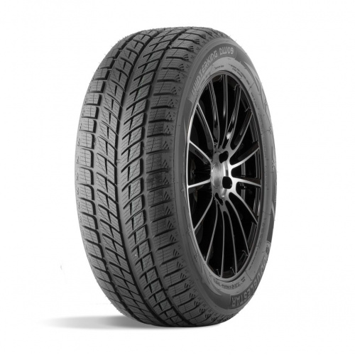 Шина DoubleStar DW09 215/45 R17 91H зимняя - 1
