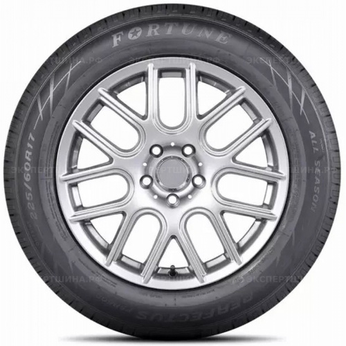 Шина Fortune Perfectus FSR602 195/65 R15 91H летняя - 1
