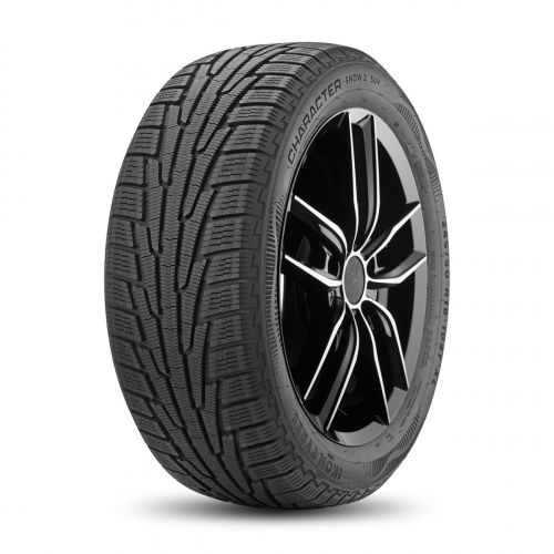 Шина Ikon / Nokian Tyres Character Snow 2 SUV 225/55 R18 102R XL зимняя - 1