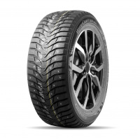 WinterCraft ice WS31